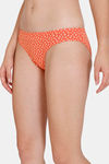 Zivame Anti-Microbial Low Rise Full Coverage Bikini Panty (Pack of 3) - Multicolor — thumbnail 7